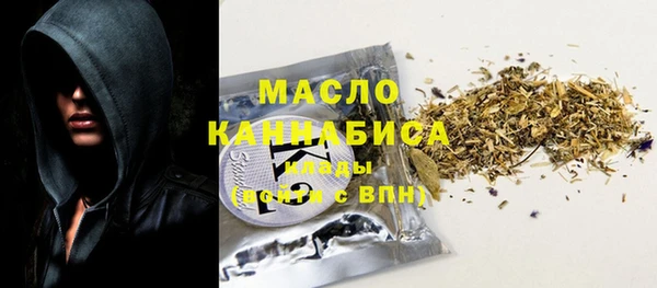 амф Гусев
