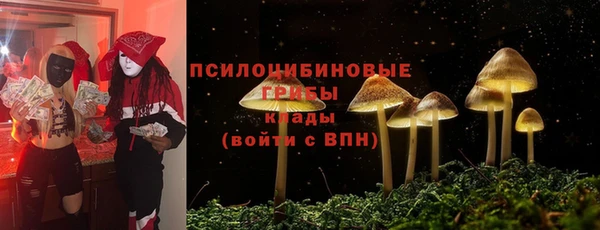 прущий лед Гусиноозёрск