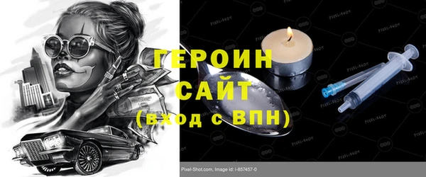 амф Гусев