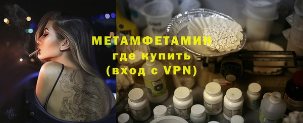 амф Гусев