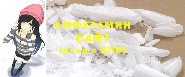 амф Гусев
