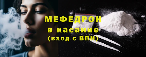 амф Гусев