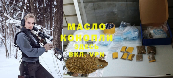 амф Гусев