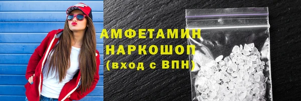 амф Гусев