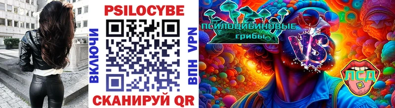 Купить закладки  Сальск  Псилоцибиновые грибы ЛСД 